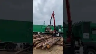 измельчитель