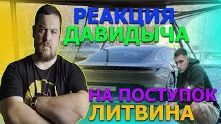 Реакция Давидыча,  Литвин перепутал педали