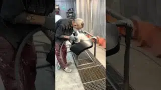 Чухчух 