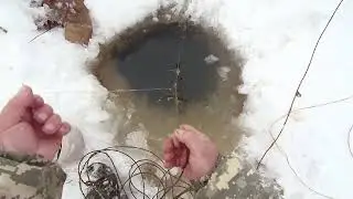 р.  Обь.  И  вновь  проверяем  перемёт   на  налима. +