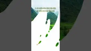 Top 6 lý do khiến Đà Nẵng là thành phố đáng sống #danang #thanhphodangsong #banahill #caurong