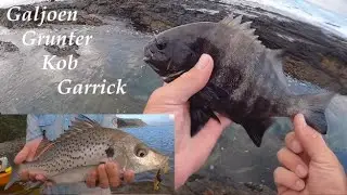 The fish are coming on the bite! The Cracker Valley ep3.