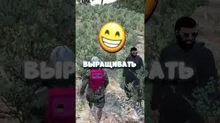 ПРОВЕРИЛ САМЫЙ ПОПУЛЯРНЫЙ ЗАРАБАТОК в ГТА 5 РП 😎 / #shorts #majesticgta5rp #majestic