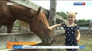 День коня в Черемхово, 