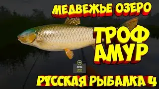 русская рыбалка 4 - Амур Медвежье озеро - рр4 фарм Алексей Майоров russian fishing 4