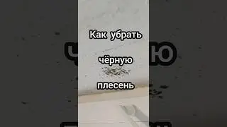 Как убрать чёрную плесень.