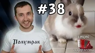Снимай меня, пока я ем
