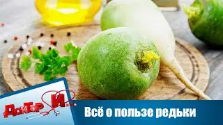 Всё о пользе редьки | Доктор И