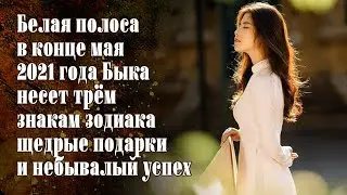 Белая полоса в конце мая 2021 года Быка несет щедрые подарки и небывалый успех