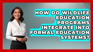 How Do Wildlife Education Programs Integrate Into Formal Education Systems? | The Wild Life Explorer