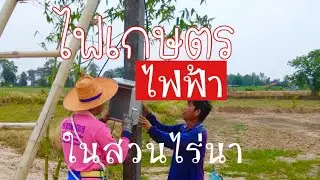 ไฟเกษตร ไฟฟ้าในสวนไร่นา การขอ ดำเนินการ วัสดุอุปกรณ์ ติดตั้ง ค่าใช้จ่าย by นายโต้รุ่ง