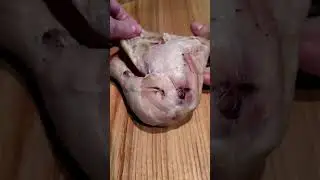 салат с грибами и орехами