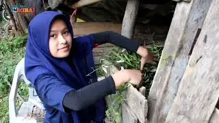 KISAH KEHIDUPAN GADIS DESA SUKAMULYA BOGOR JAWA BARAT |perjalan menelusuri sudut sudut bumi pertiwi