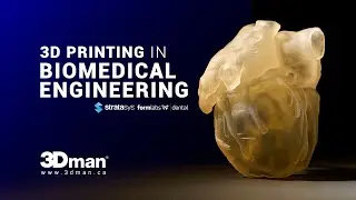 Medical 3D Printing Services - 3DMan