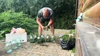 Рецепт квашених огірків. Сімейні традиції | Private Milk | Михайло Травецький | Велесова ферма