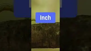 Tier List of US Units of Measurement - Inches and Feet