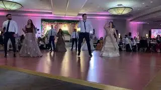 Kunj & Hiren’s Wedding Reception Surprise Dance