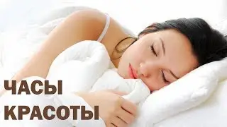 Сон. Здоровый сон. Для чего он необходим.