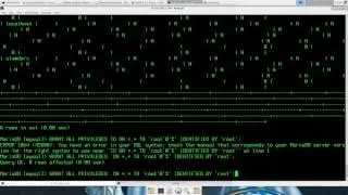 Creating a relational database (MariaDB) for my karting results