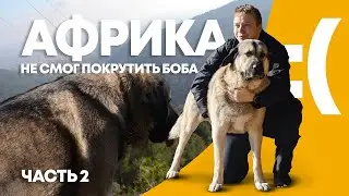 В сторону Гибралтара. Куда запропастился Иван?