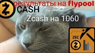 Майнинг ZEC на GTX1060. Реальные результаты – дрянь! :( (5 марта 2018)