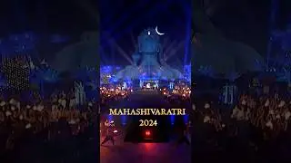 A Celebration Like No Other