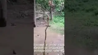16 июля 2024 г.