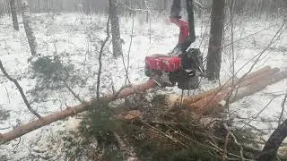KOMATSU 931xc  Как валить хлысты не на себя!