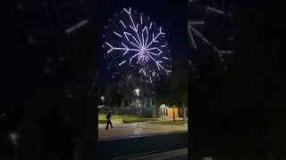 12 сентября 2024 г.