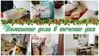 Дела по дому в течение дня 🎄 Мотивация на уборку квартиры❤