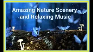 Amazing Nature Scenery and Relaxing Music  ABC TV