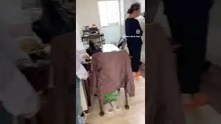 Сколько стоит снять квартиру в Корее