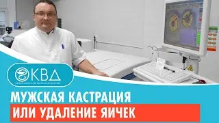 👉 Мужская кастрация или удаление яичек. Клинический случай №551