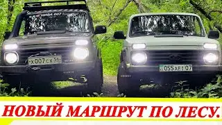 НОВЫЙ МАРШРУТ по ЛЕСУ.