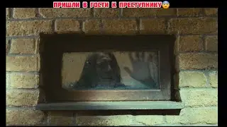 Пришли в гости к преступнику .. Название фильма из Тик Ток