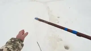 Таёжная   речка.  Рыбачим   на   экраны .