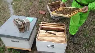 Плановые работы на пасеке. Делаю выбраковку маточников. 29.05.2022г. Кыштовка