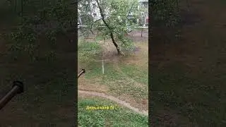 После жары хочется дождя ?)