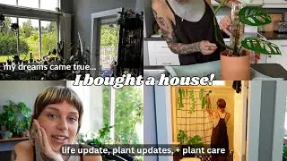 I moved with my 200 plants (again!) | plant updates + chores in my new house 🥹🌿🩵