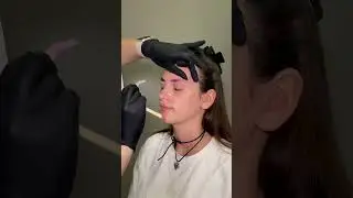 1 день из жизни бровиста 