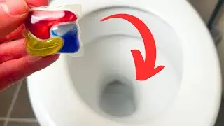 Throw a FANCY Dishwasher Tablet in Your Toilet and Watch What Happens