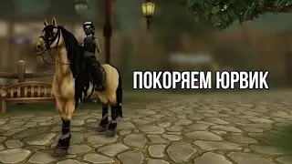 Будний стрим | Star Stable Online