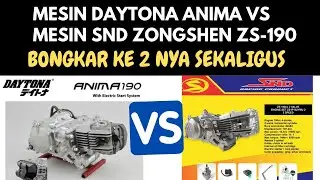 DAYTONA ANIMA VS SND ZONGSHEN ZS 190 APA BEDANYA? PILIH MANA