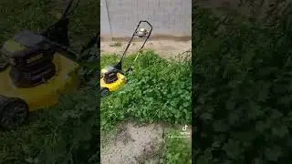 She Is A Dirty Dewalt Mower Part 3