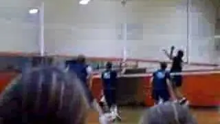 USA mens olympic volleyball team