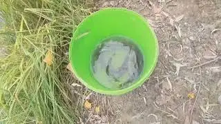 На  таёжной  речке.  На  поплавок.