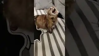 Часть 2 Королева🔥😻 