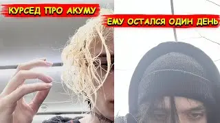 КУРСЕД ПРО АКУМУ, ВСЯ ПРАВДА