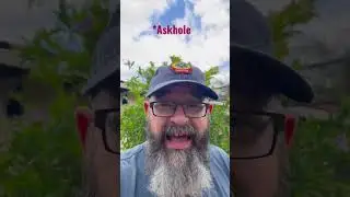 What is an Askhole