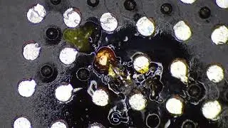 How To Repair a Damaged Pin in Motherboard CPU Socket |My 1rst Under Microscop Work|
